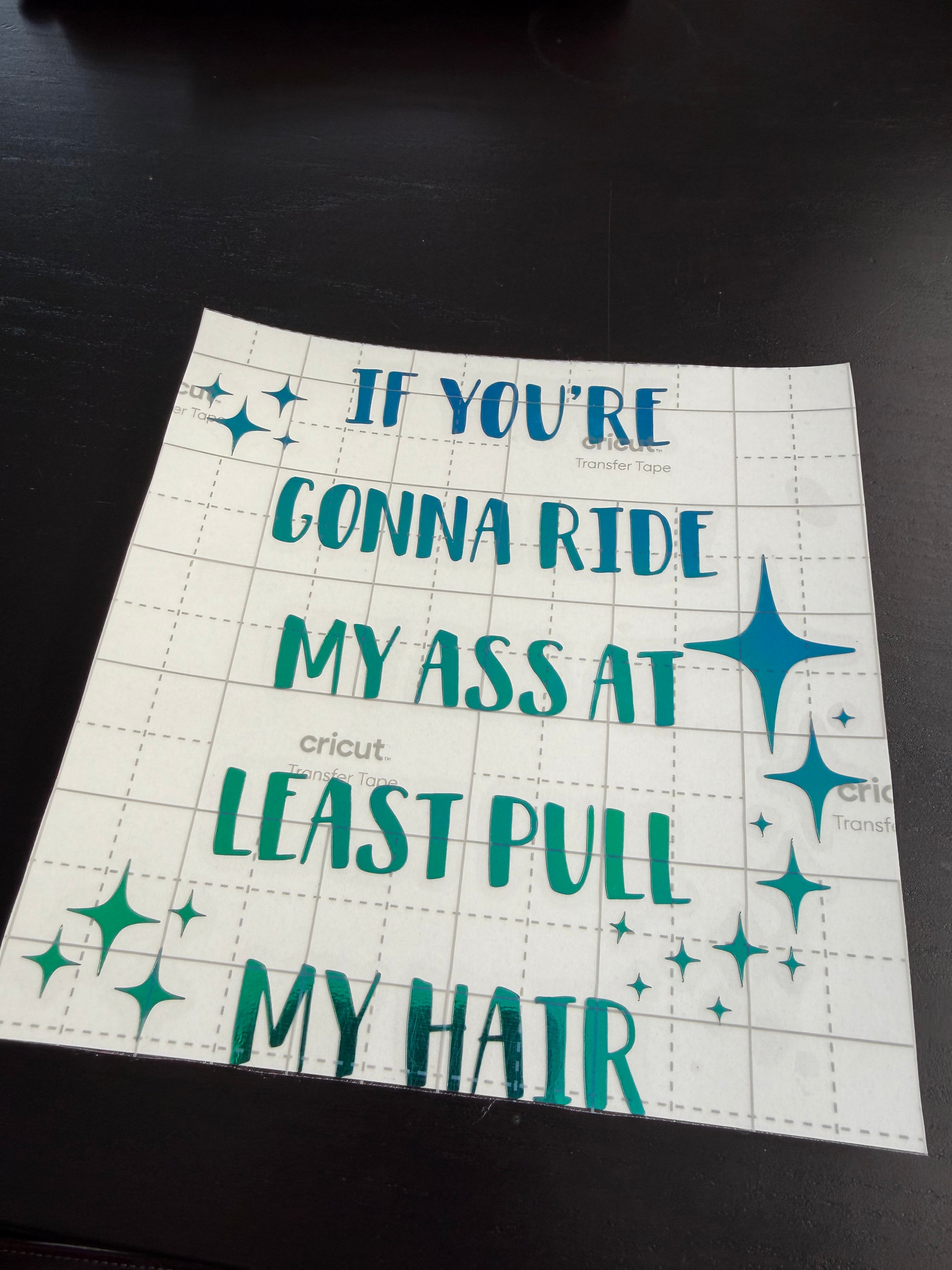 If You’re Gonna Ride My Ass at Least Pull My Hair Decal